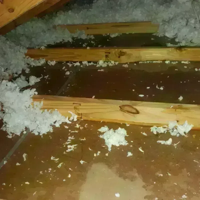 Attic Water Damage in Red Oak, NC